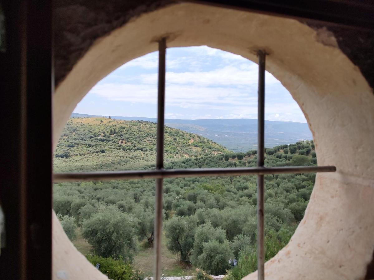 Torre Bruno Séjour à la ferme Carpino
