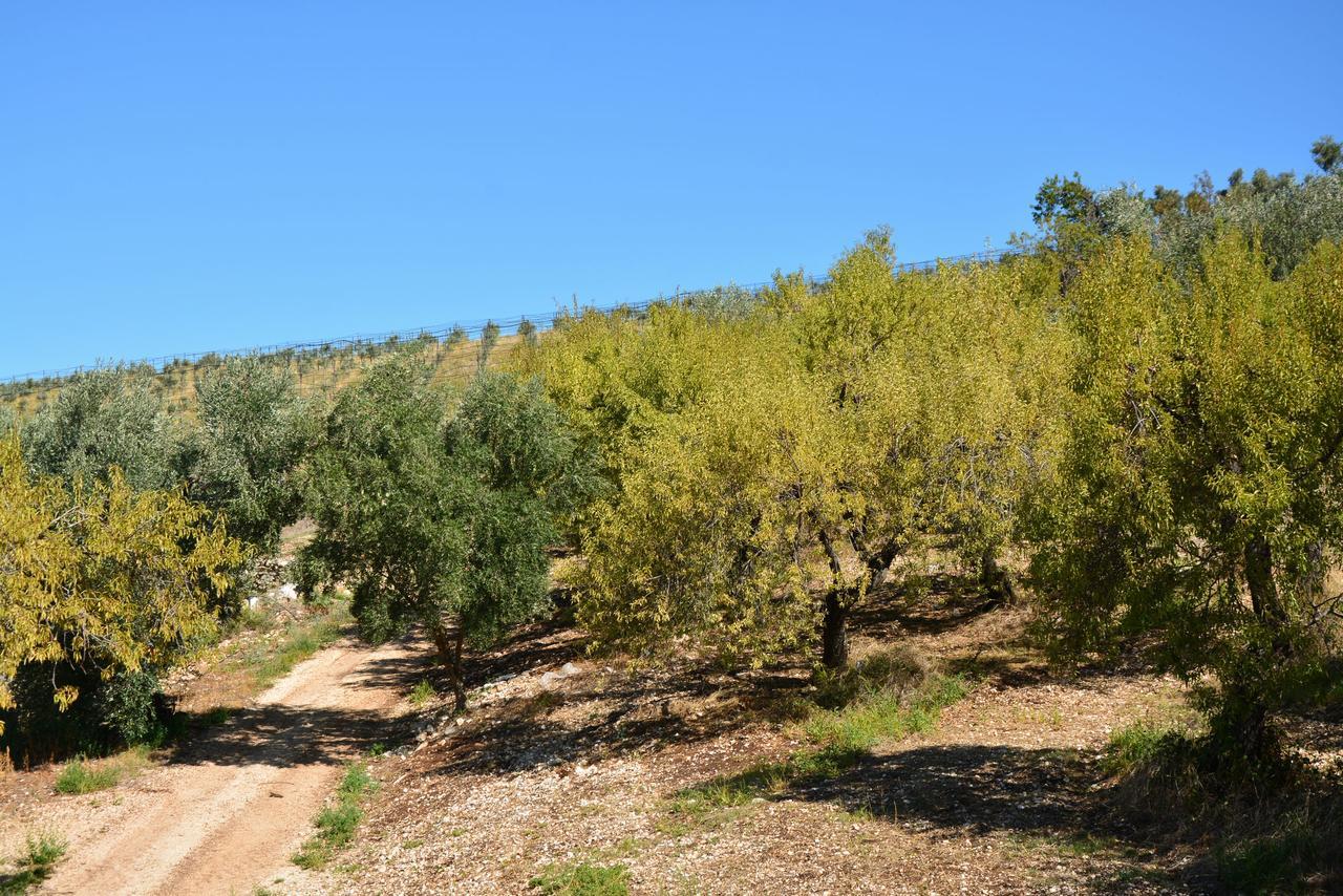 Torre Bruno * Carpino