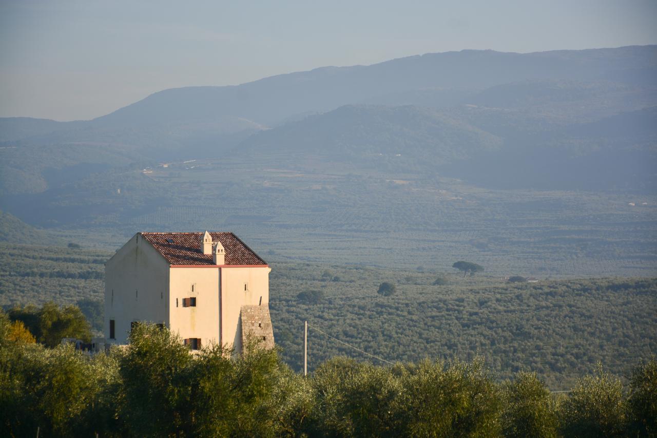 Torre Bruno