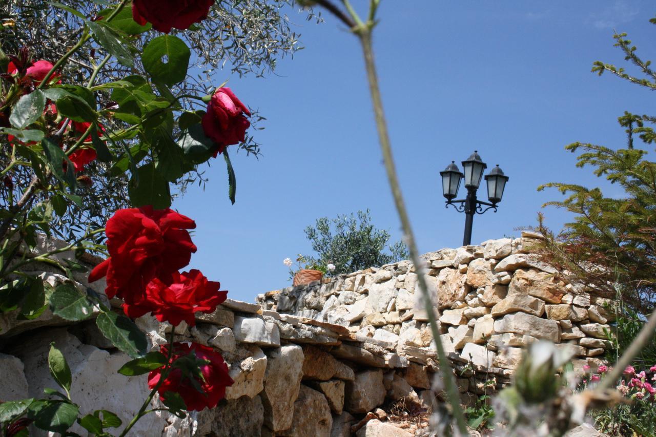 Farm stay Torre Bruno *